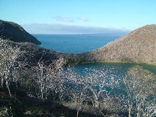 DSCF3392.JPG