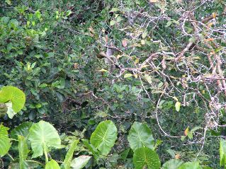 DSCF3144.JPG