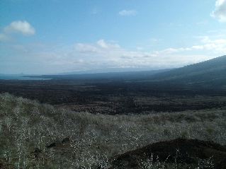 DSCF3396.JPG