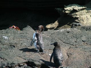 DSCF3410.JPG