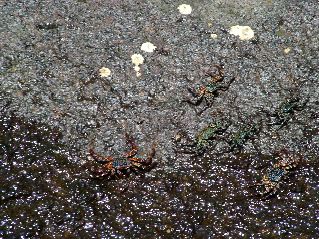DSCF3413.JPG