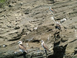 DSCF3416.JPG