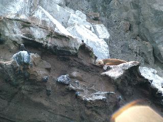 DSCF3417.JPG
