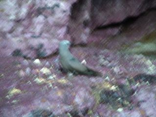 DSCF3436.JPG