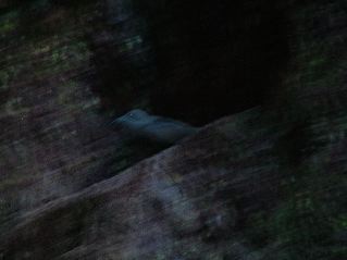 DSCF3441.JPG