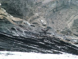 DSCF3443.JPG