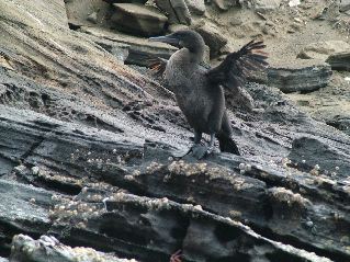 DSCF3447.JPG