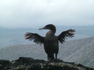 DSCF3450.JPG