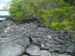 DSCF3455.JPG