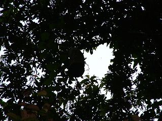 DSCF3149.JPG
