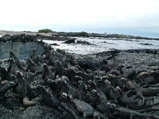 DSCF3470.JPG