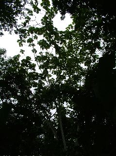 DSCF3151.JPG