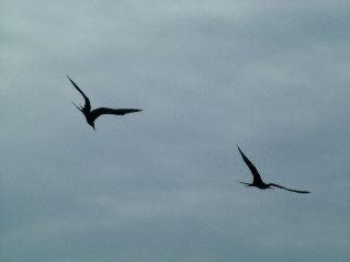DSCF3486.JPG