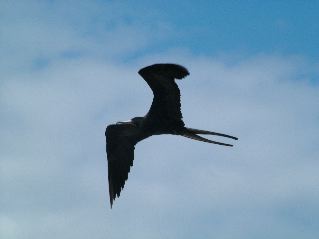 DSCF3488.JPG