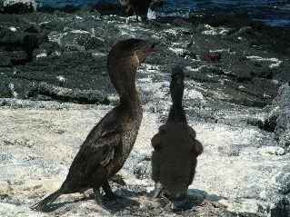 DSCF3490.JPG