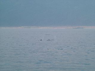DSCF3507.JPG