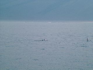 DSCF3509.JPG