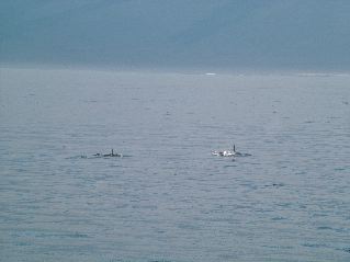 DSCF3510.JPG