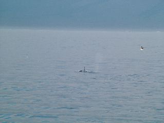 DSCF3511.JPG