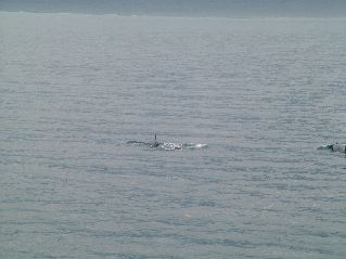 DSCF3517.JPG