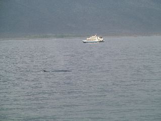 DSCF3521.JPG