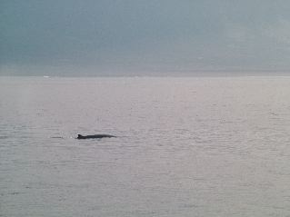 DSCF3522.JPG