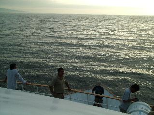 DSCF3523.JPG