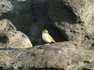 DSCF3536.JPG