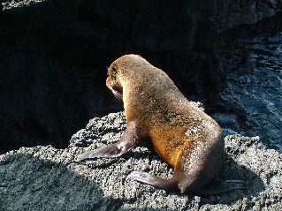 DSCF3544.JPG