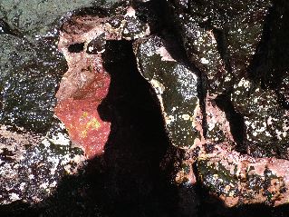 DSCF3552.JPG