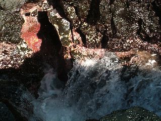 DSCF3553.JPG
