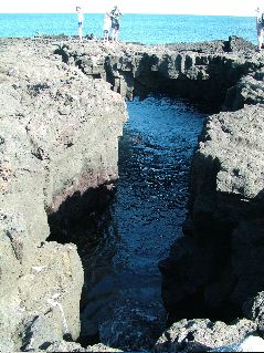 DSCF3563.JPG