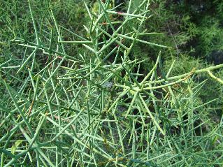 DSCF3568.JPG