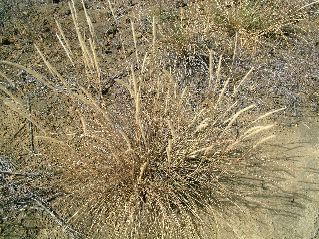 DSCF3569.JPG