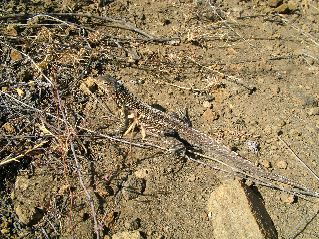 DSCF3570.JPG