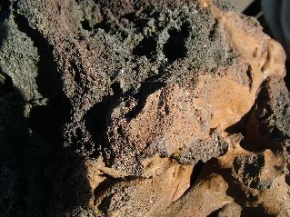 DSCF3587.JPG