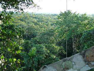 DSCF3123.JPG