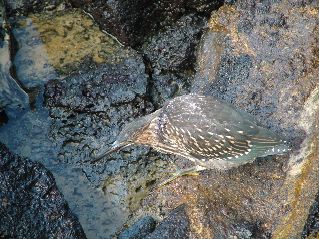 DSCF3597.JPG