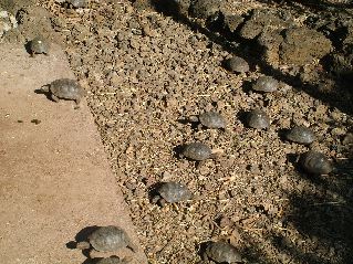 DSCF3608.JPG