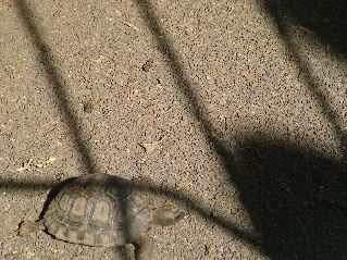 DSCF3609.JPG