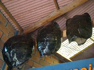 DSCF3611.JPG
