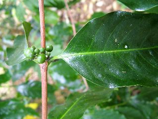 DSCF3637.JPG