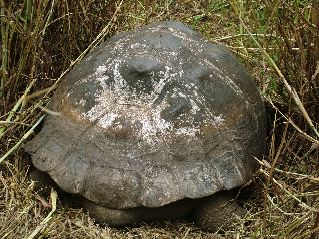 DSCF3638.JPG