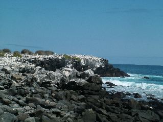 DSCF3652.JPG