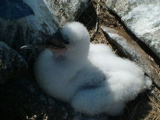 DSCF3671.JPG