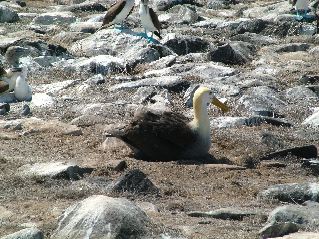 DSCF3673.JPG