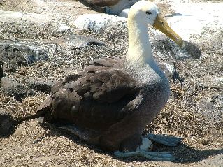 DSCF3676.JPG