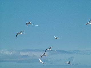 DSCF3680.JPG