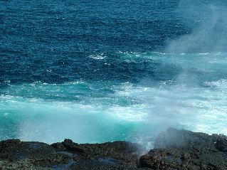 DSCF3681.JPG