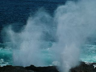 DSCF3682.JPG